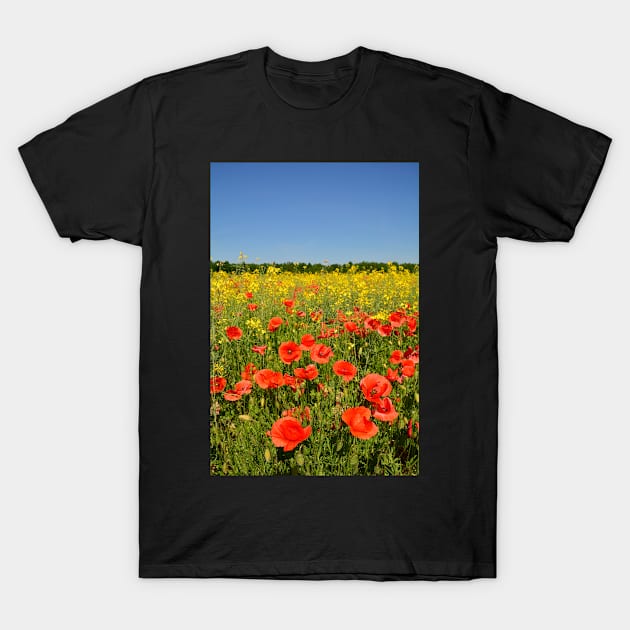 Poppies T-Shirt by jojobob